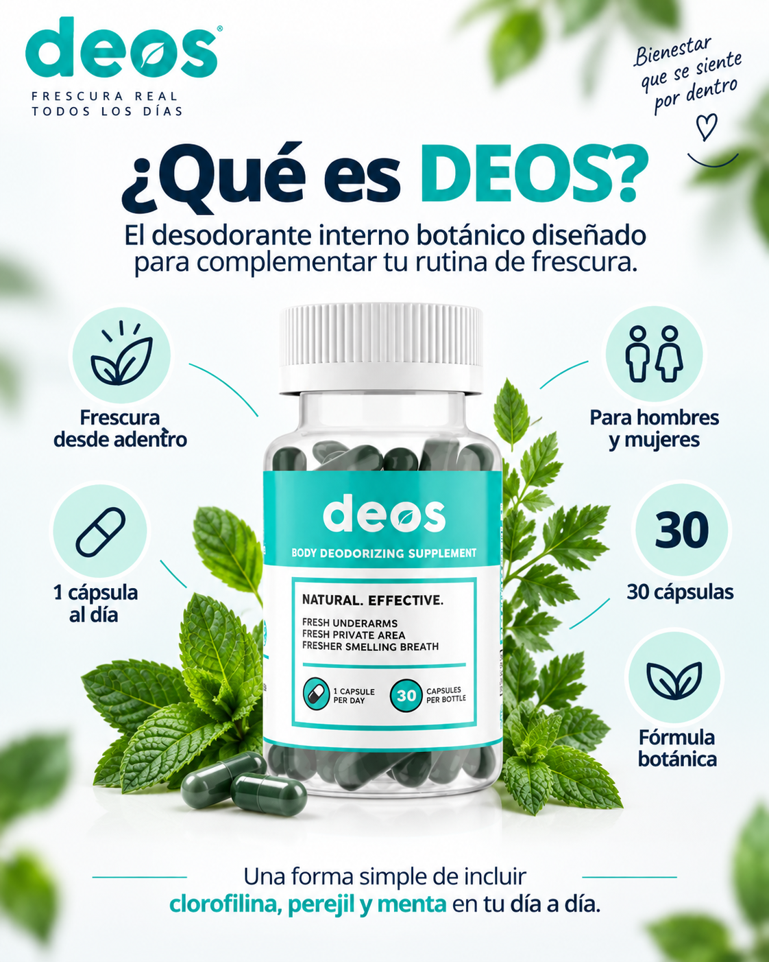 Deos Desodorante Interno